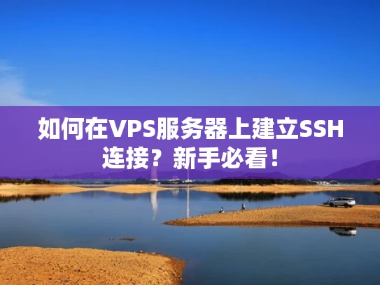 如何在VPS服务器上建立SSH连接？新手必看！