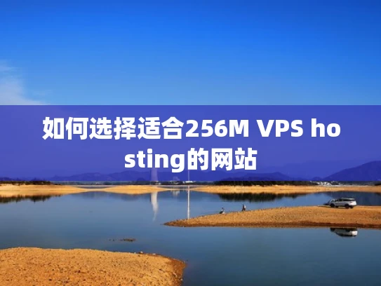如何选择适合256M VPS hosting的网站