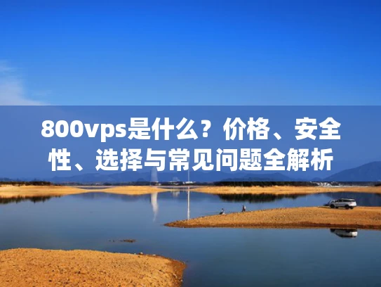 800vps是什么？价格、安全性、选择与常见问题全解析