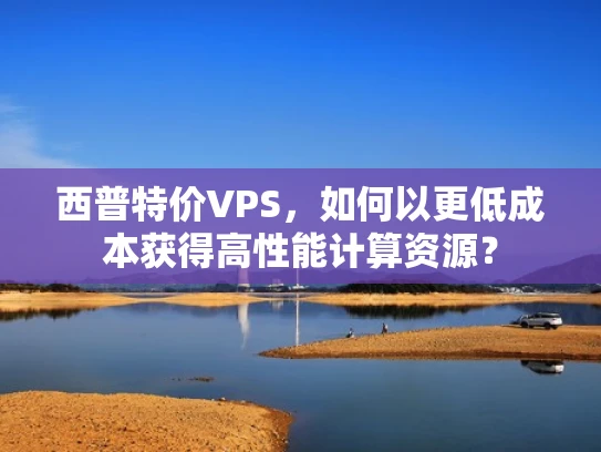 西普特价VPS，如何以更低成本获得高性能计算资源？