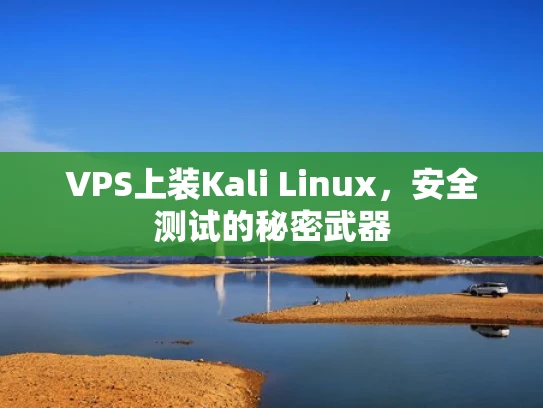 VPS上装Kali Linux，安全测试的秘密武器