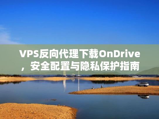 VPS反向代理下载OnDrive，安全配置与隐私保护指南
