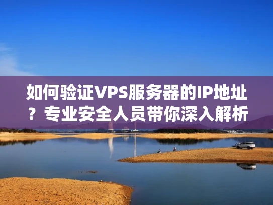 如何验证VPS服务器的IP地址？专业安全人员带你深入解析