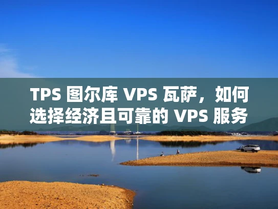 TPS 图尔库 VPS 瓦萨，如何选择经济且可靠的 VPS 服务