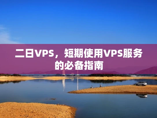 二日VPS，短期使用VPS服务的必备指南