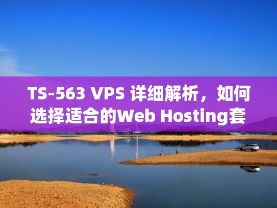TS-563 VPS 详细解析，如何选择适合的Web Hosting套餐？