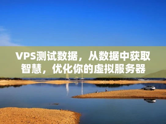 VPS测试数据，从数据中获取智慧，优化你的虚拟服务器