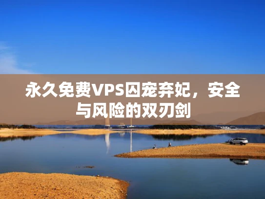 永久免费VPS囚宠弃妃，安全与风险的双刃剑