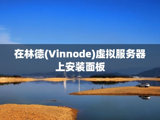 在林德(Vinnode)虚拟服务器上安装面板