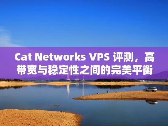 Cat Networks VPS 评测，高带宽与稳定性之间的完美平衡