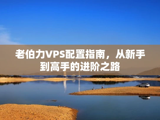 老伯力VPS配置指南，从新手到高手的进阶之路