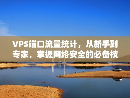 VPS端口流量统计，从新手到专家，掌握网络安全的必备技能