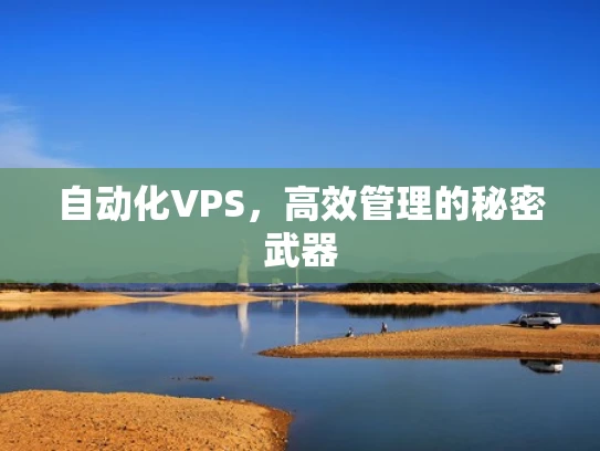 自动化VPS，高效管理的秘密武器