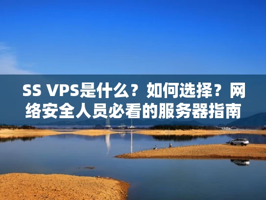 SS VPS是什么？如何选择？网络安全人员必看的服务器指南