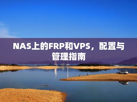 NAS上的FRP和VPS，配置与管理指南