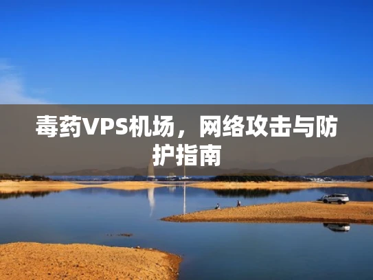 毒药VPS机场，网络攻击与防护指南