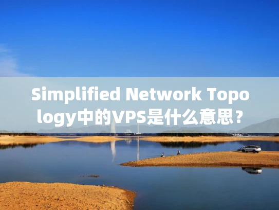 Simplified Network Topology中的VPS是什么意思？