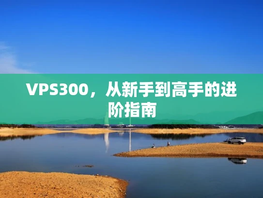 VPS300，从新手到高手的进阶指南