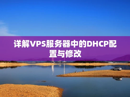 详解VPS服务器中的DHCP配置与修改