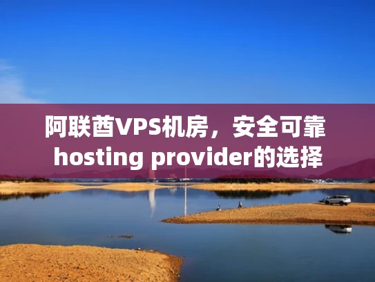 阿联酋VPS机房，安全可靠 hosting provider的选择