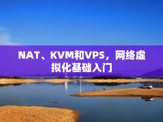 NAT、KVM和VPS，网络虚拟化基础入门