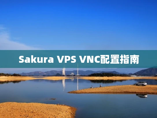Sakura VPS VNC配置指南