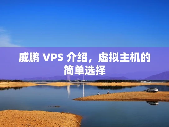 威鹏 VPS 介绍，虚拟主机的简单选择