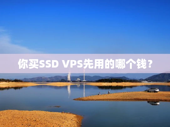 你买SSD VPS先用的哪个钱？