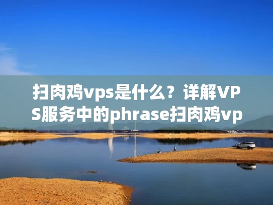 扫肉鸡vps是什么？详解VPS服务中的phrase扫肉鸡vps