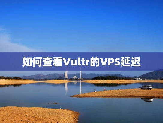 如何查看Vultr的VPS延迟