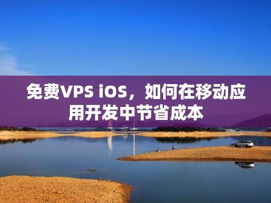 免费VPS iOS，如何在移动应用开发中节省成本