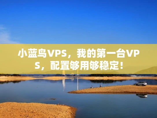 小蓝鸟VPS，我的第一台VPS，配置够用够稳定！