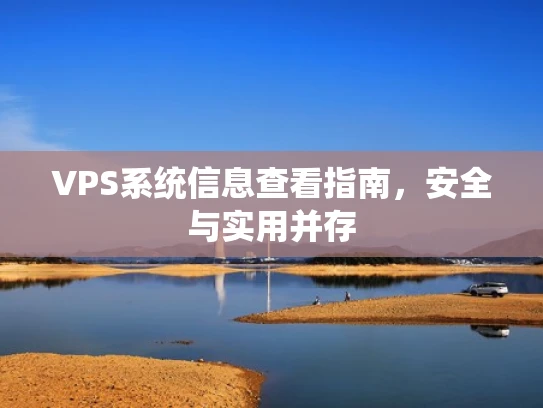 VPS系统信息查看指南，安全与实用并存