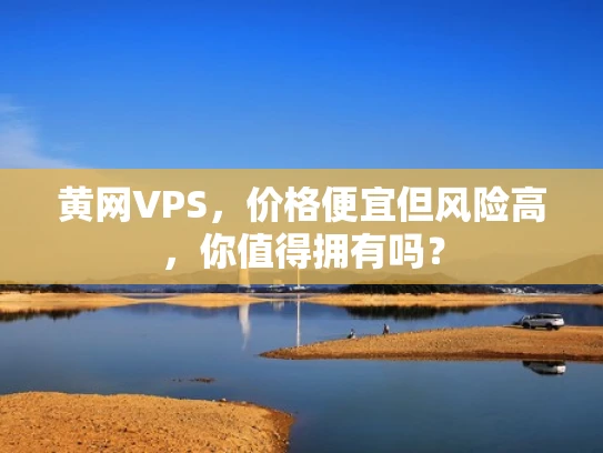 黄网VPS，价格便宜但风险高，你值得拥有吗？