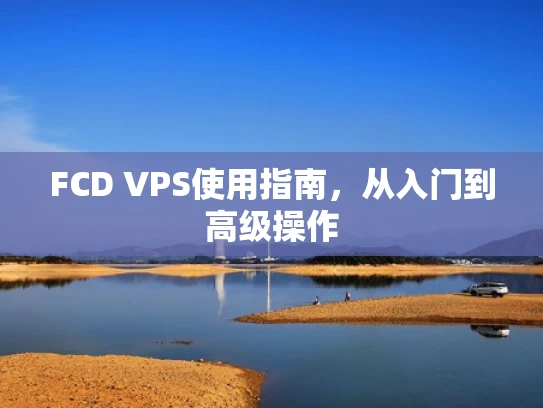 FCD VPS使用指南，从入门到高级操作
