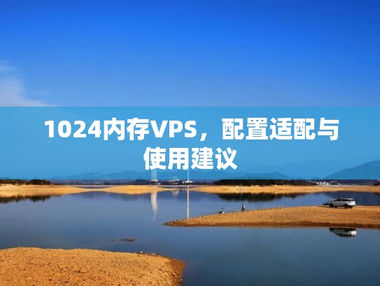 1024内存VPS，配置适配与使用建议