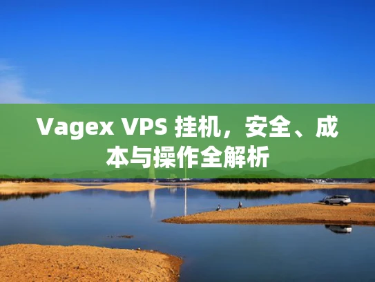 Vagex VPS 挂机，安全、成本与操作全解析
