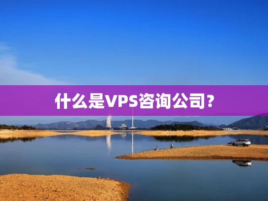 什么是VPS咨询公司？