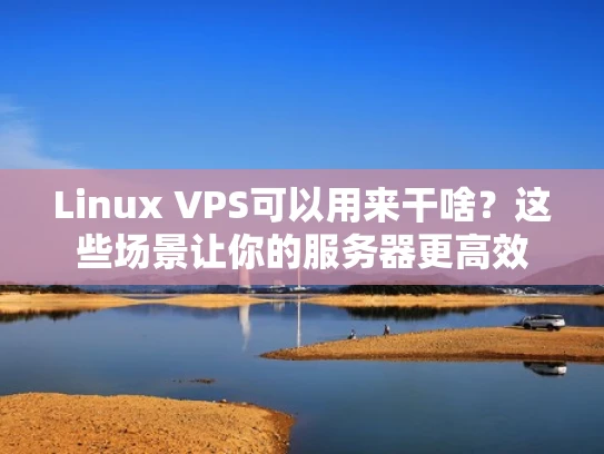 Linux VPS可以用来干啥？这些场景让你的服务器更高效
