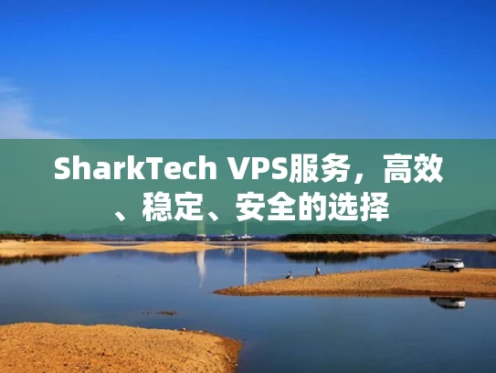 SharkTech VPS服务，高效、稳定、安全的选择