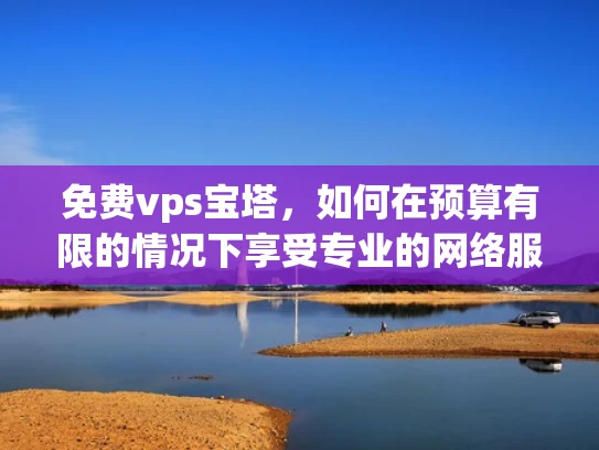 免费vps宝塔，如何在预算有限的情况下享受专业的网络服务？
