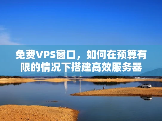 免费VPS窗口，如何在预算有限的情况下搭建高效服务器