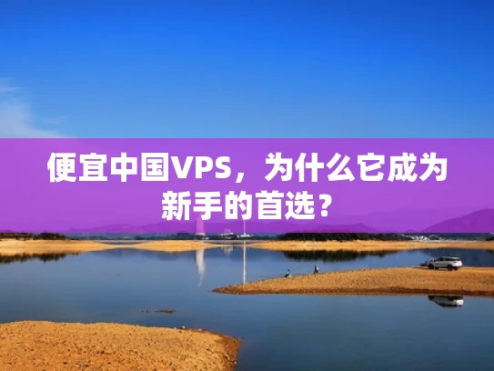 便宜中国VPS，为什么它成为新手的首选？