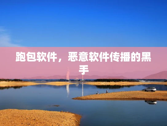 跑包软件，恶意软件传播的黑手