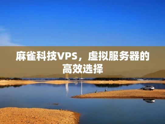 麻雀科技VPS，虚拟服务器的高效选择