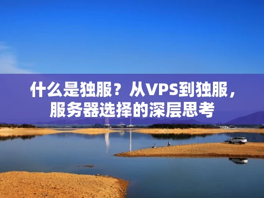 什么是独服？从VPS到独服，服务器选择的深层思考