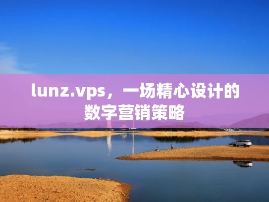 lunz.vps，一场精心设计的数字营销策略