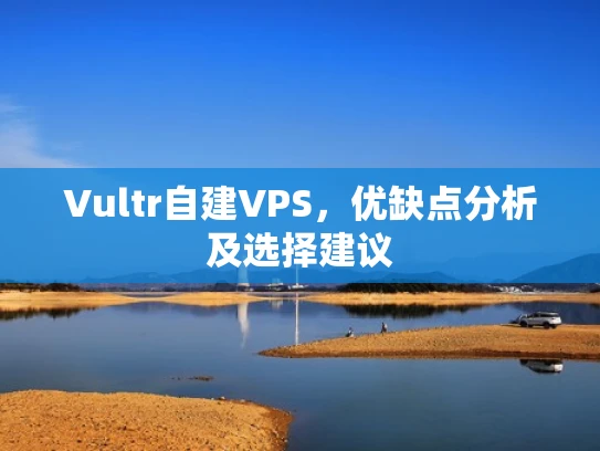 Vultr自建VPS，优缺点分析及选择建议