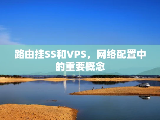 路由挂SS和VPS，网络配置中的重要概念