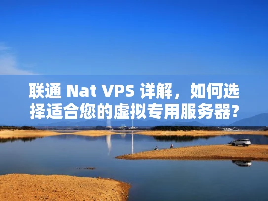 联通 Nat VPS 详解，如何选择适合您的虚拟专用服务器？